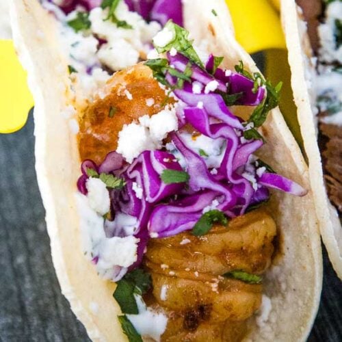 A corn tortilla in a yellow taco holder with cooked shrimp, red cabbage, cilantro lime cream sauce, and queso fresco inside the tortilla.